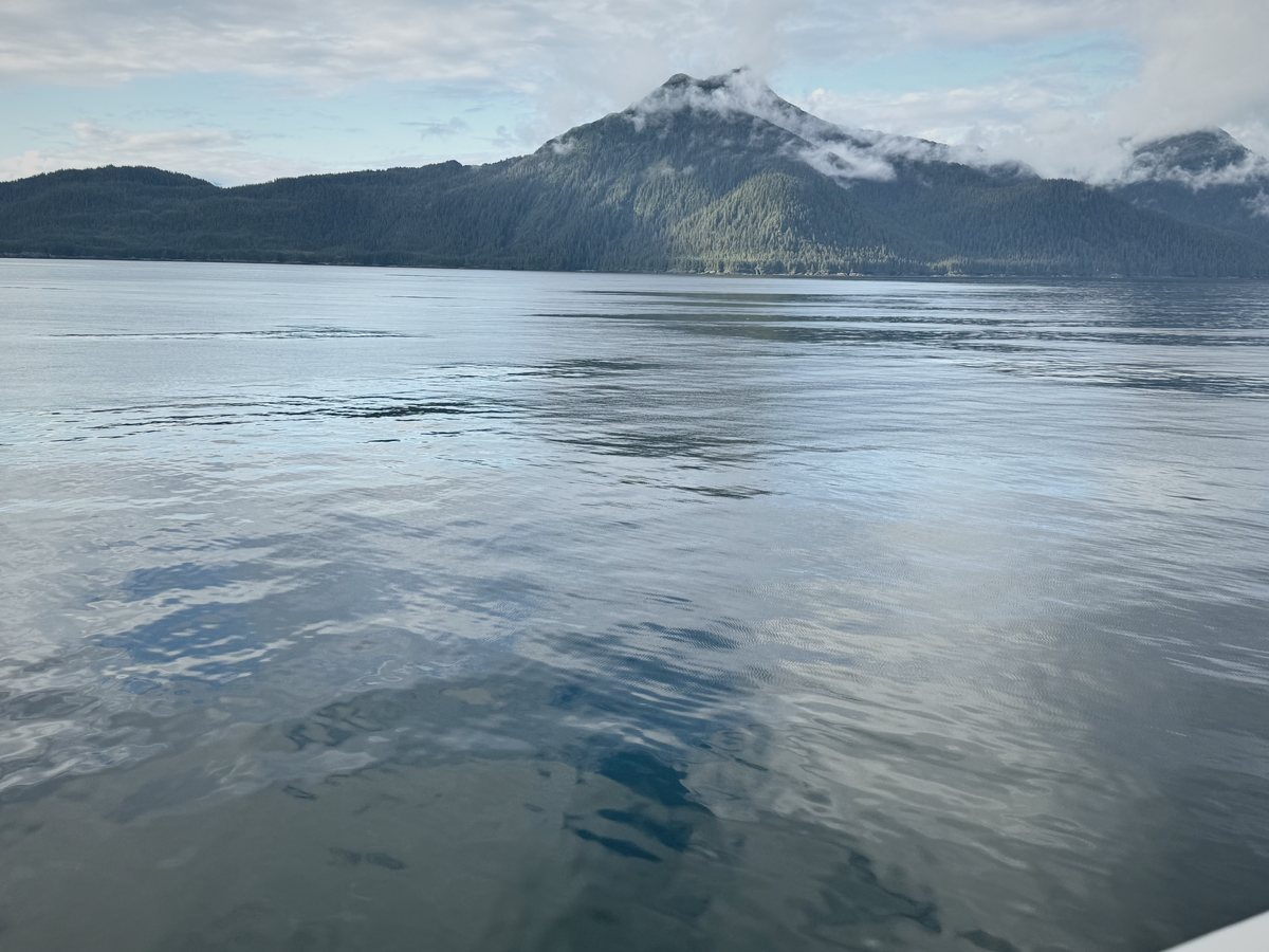 Prince William Sound