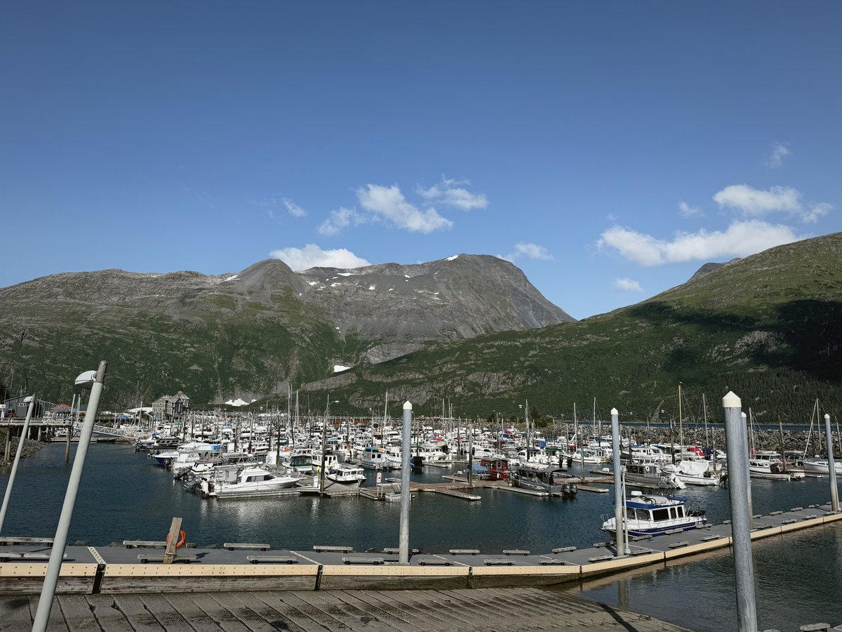 The small-boat harbor at Whittier