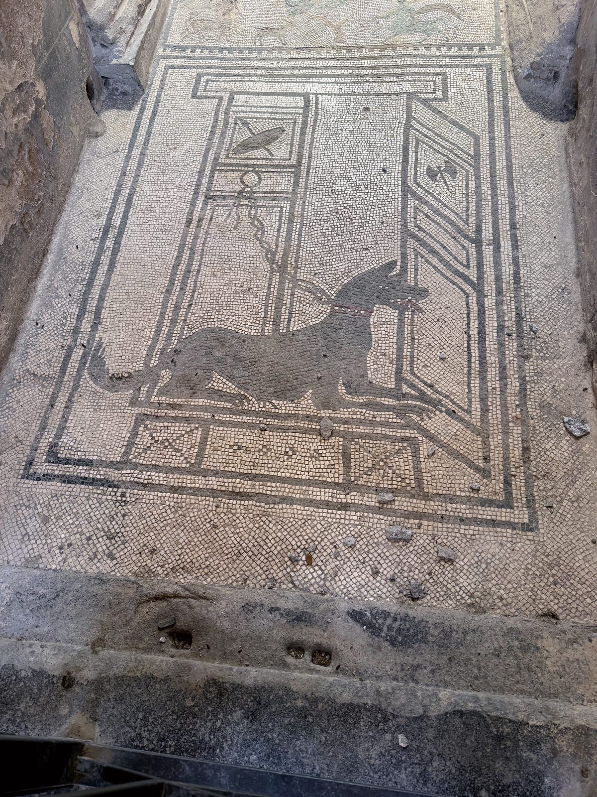 The Cave Canem dog mosaic at Pompeii
