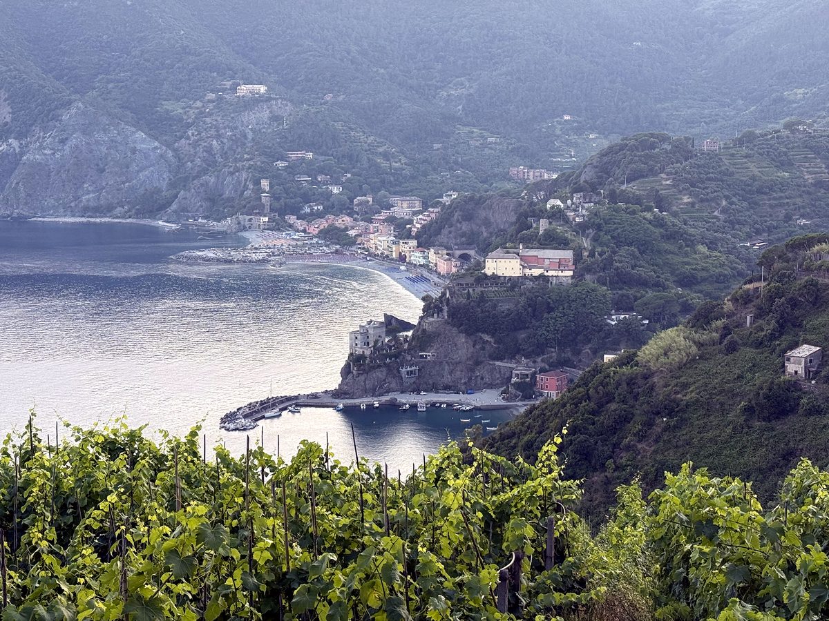 Vineyard terraces on the Cinque Terre trail above Monterosso