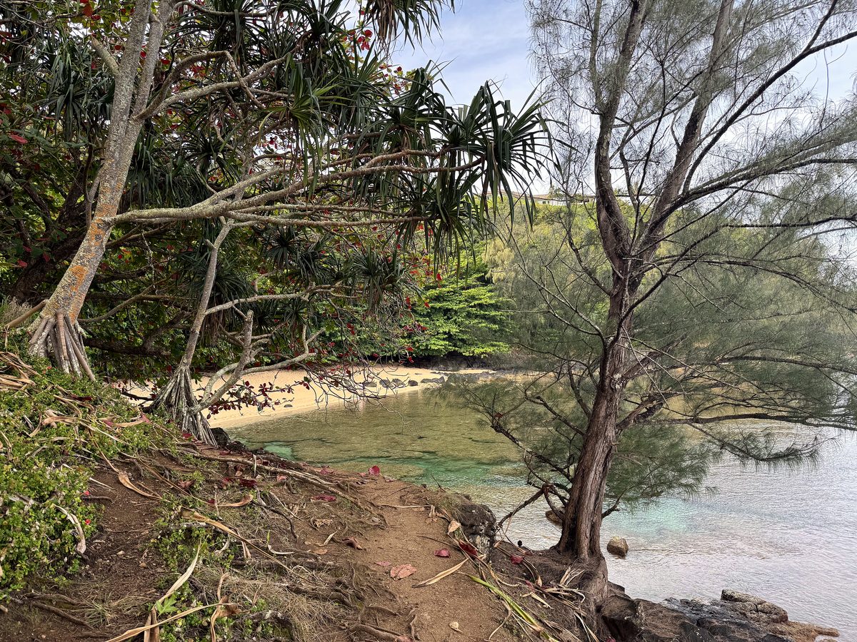 A hidden cove