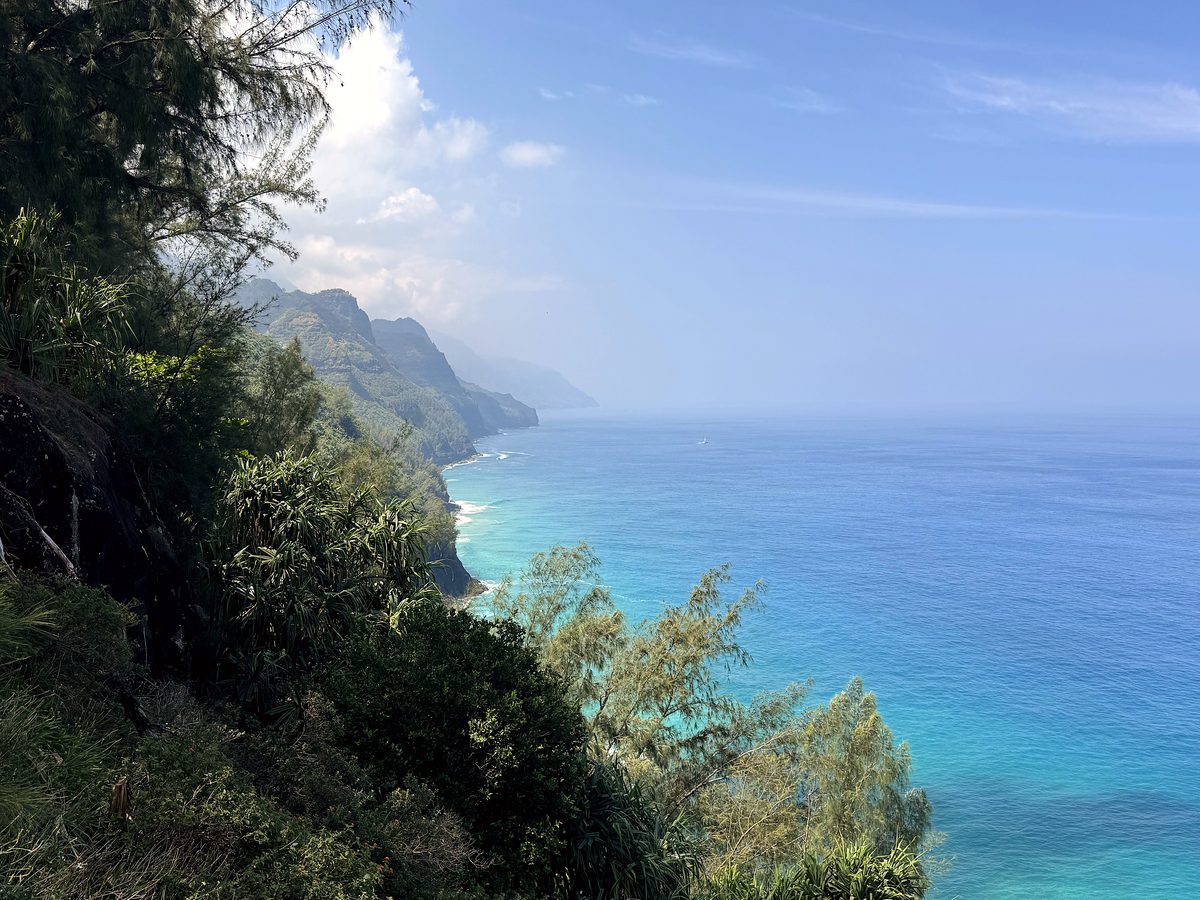 The view down the Nā Pali coast from the Kalalau Lookout