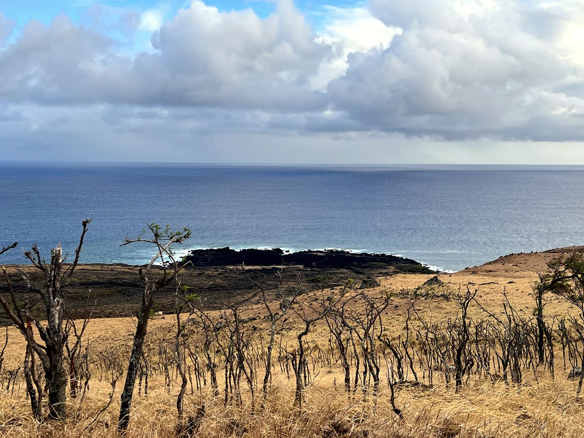 The arid, dry land past Hana