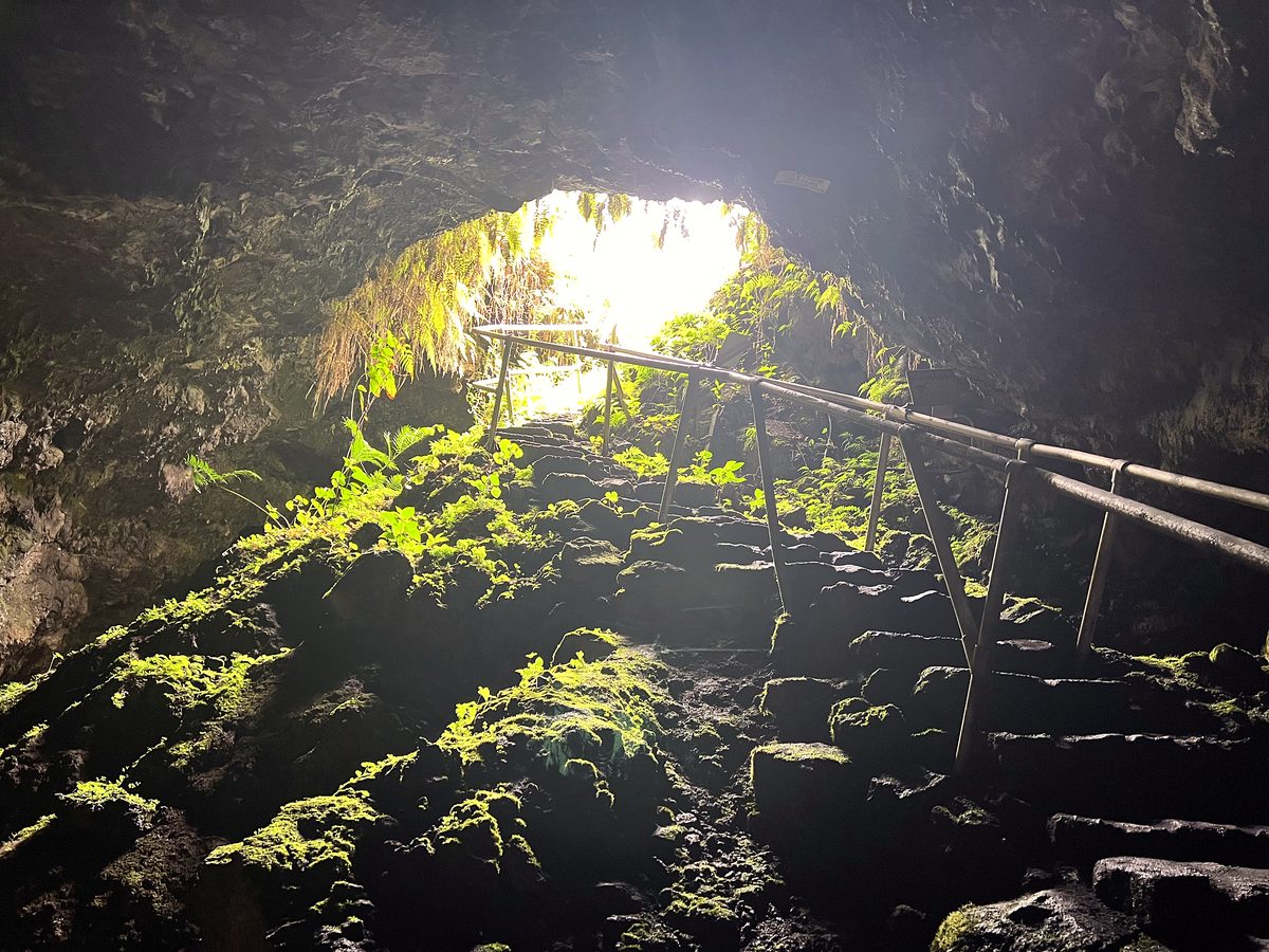 The fern-framed opening down into the lava tube