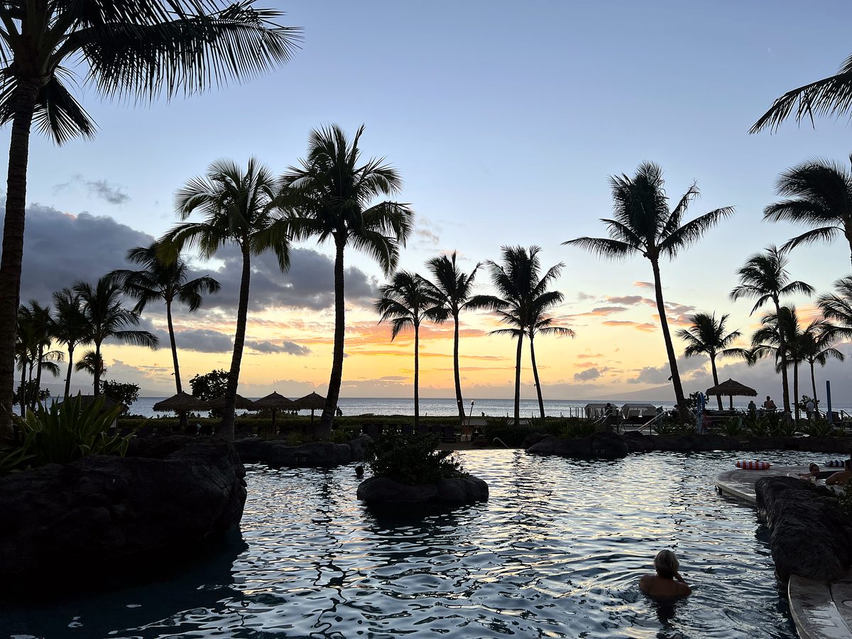 Palms over a lagoon at dusk