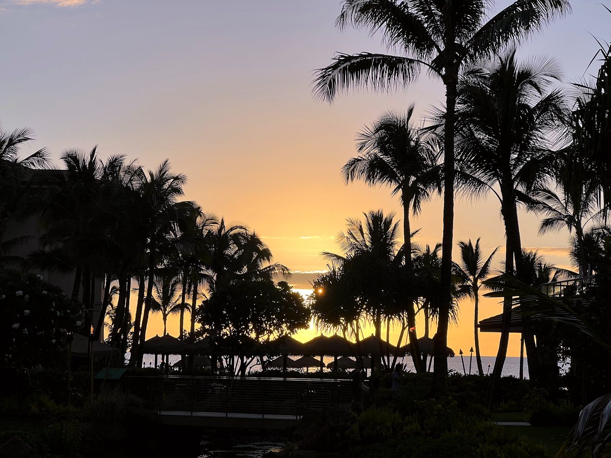 Palms against a Kāʻanapali sunset
