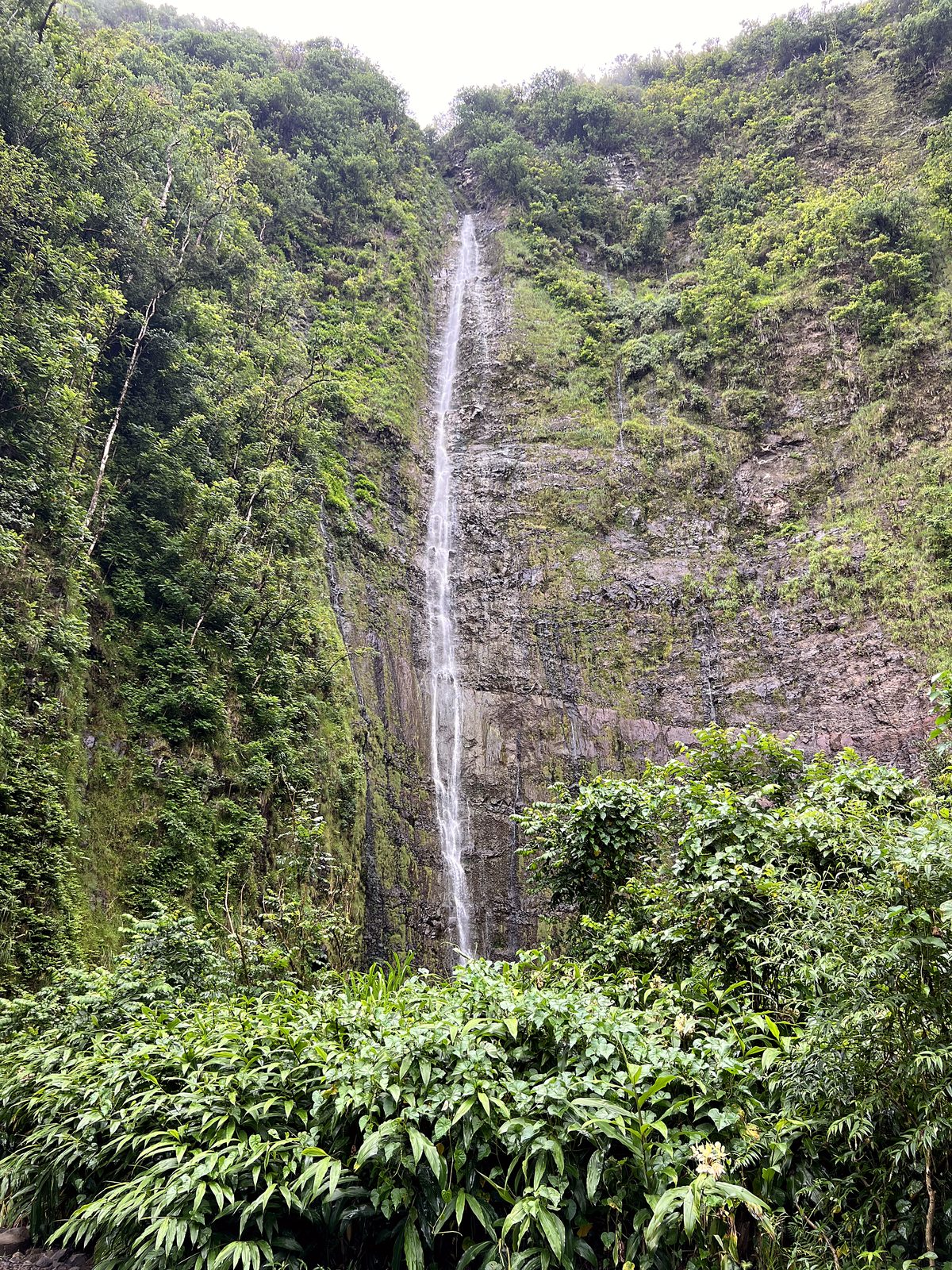 A tall ribbon of waterfall on a green cliff