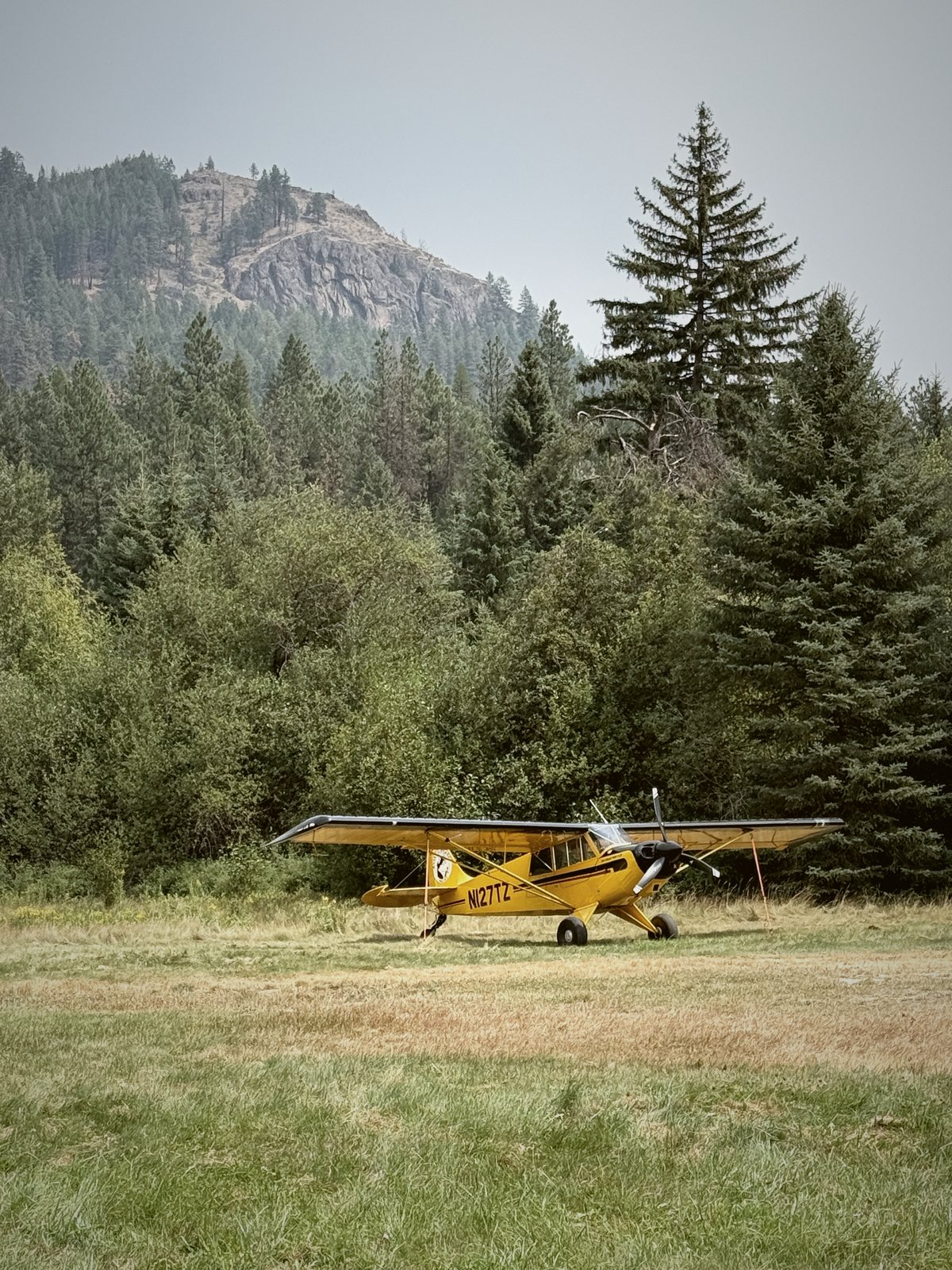 A bush plane on the grass airstrip