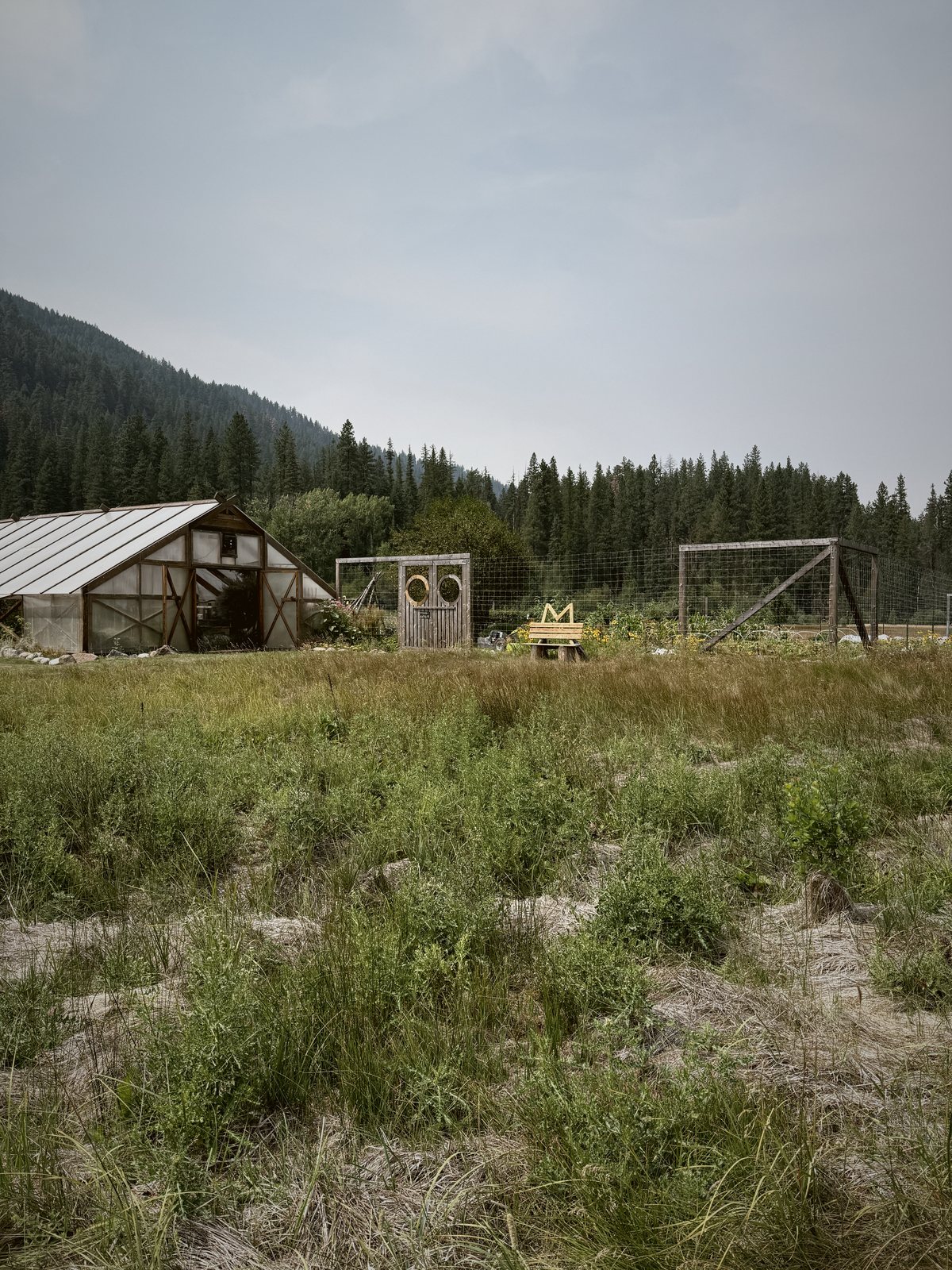 A cabin in the meadow