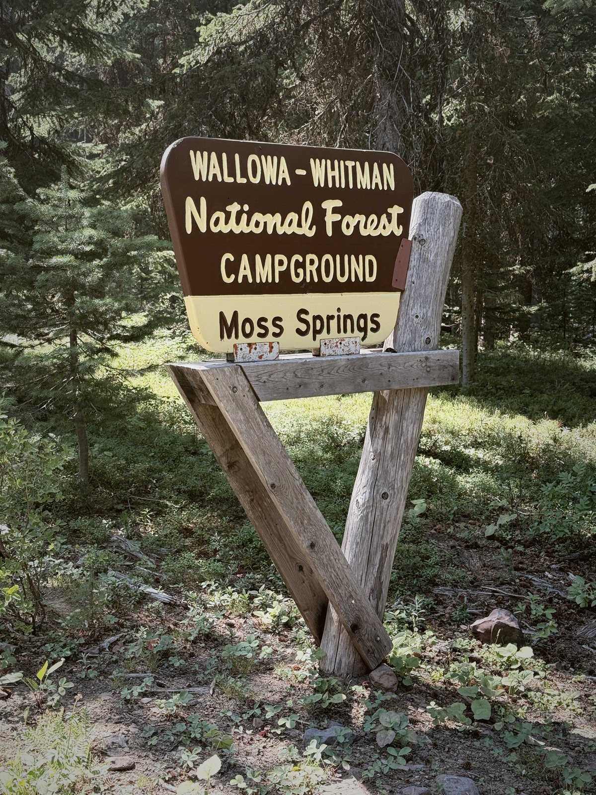 The Wallowa-Whitman forest
