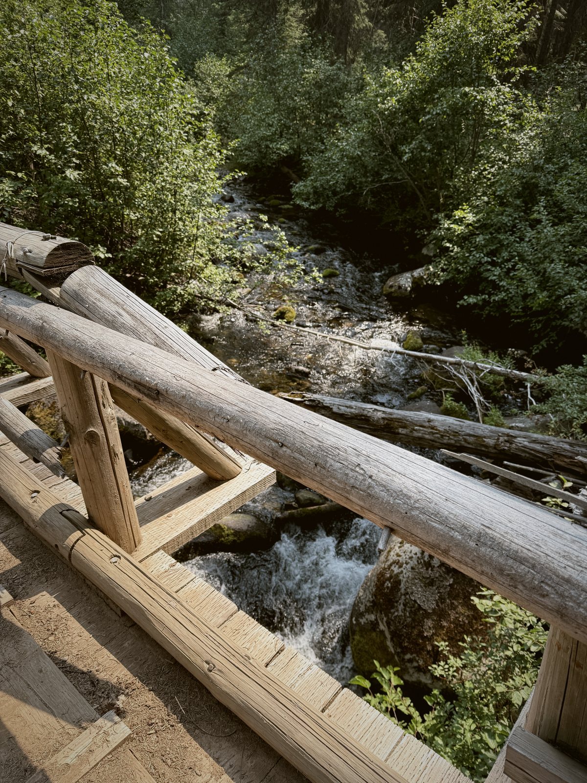 A log bridge over the creek
