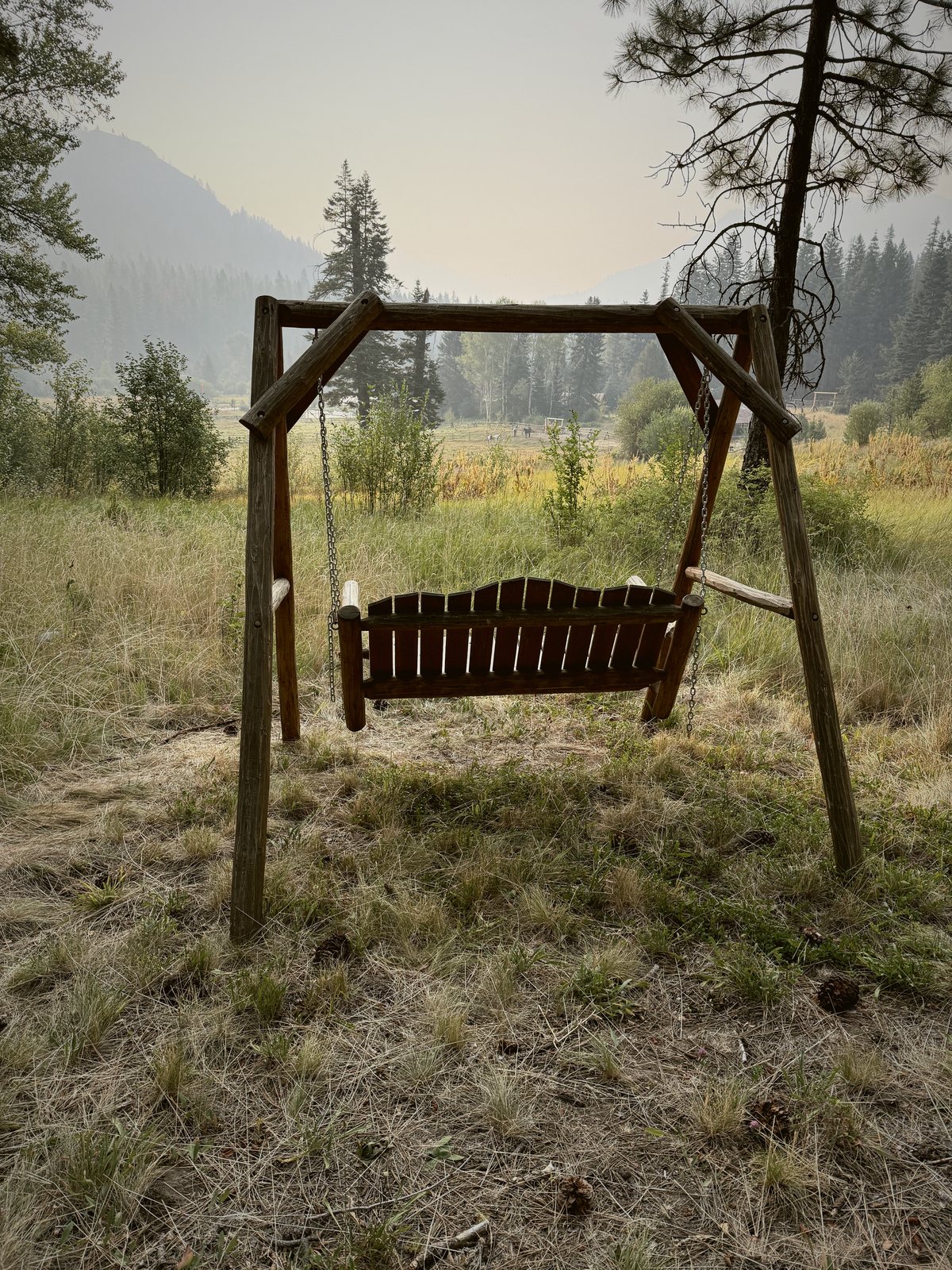 A porch swing over the meadow
