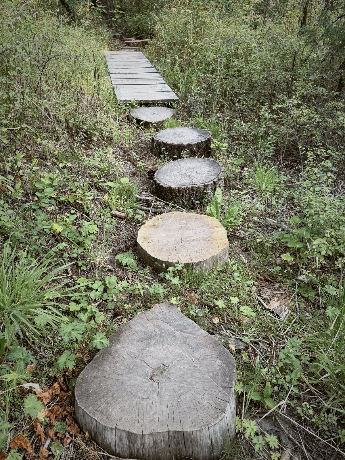Log-round stepping stones