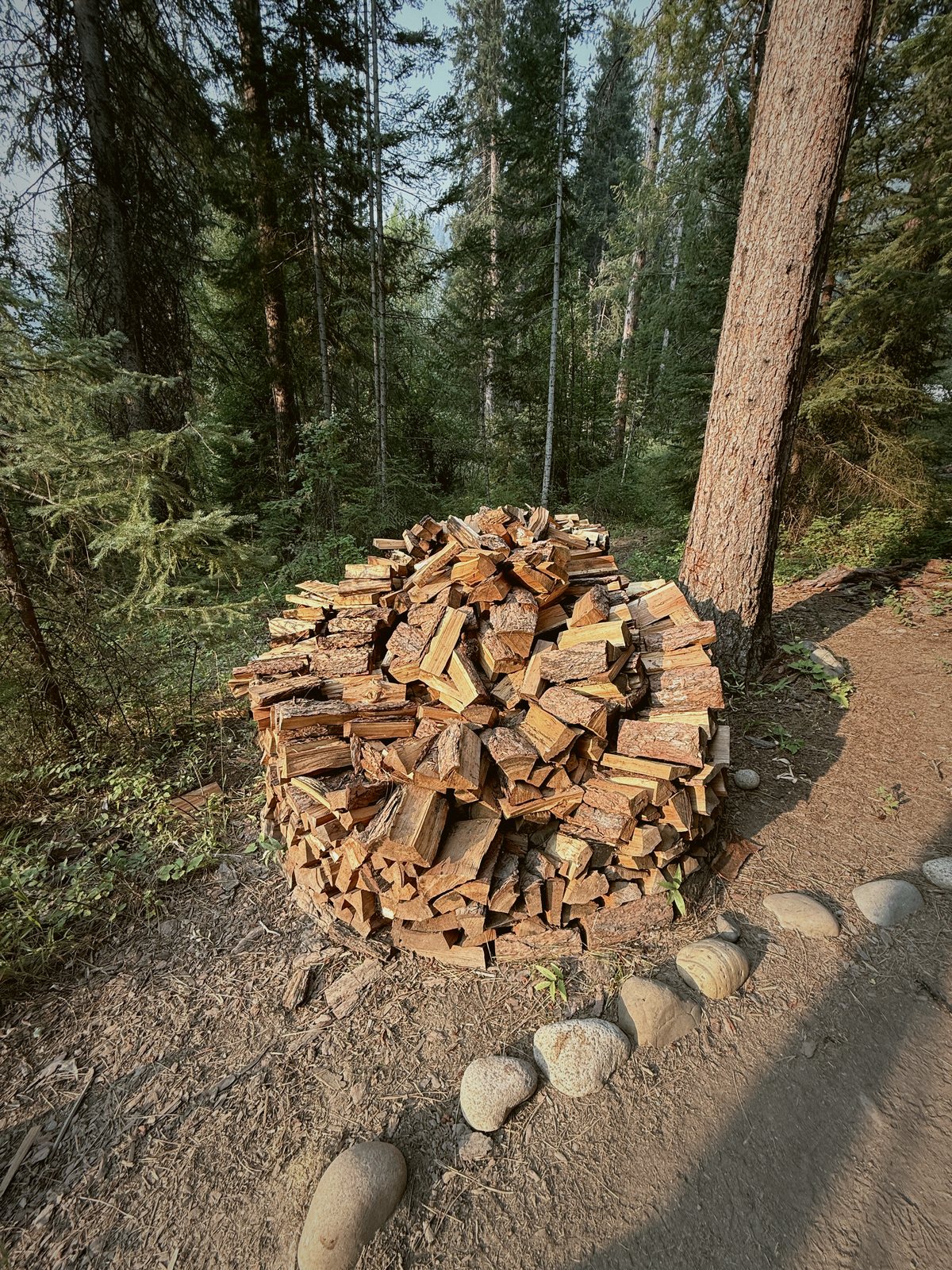 A stacked woodpile
